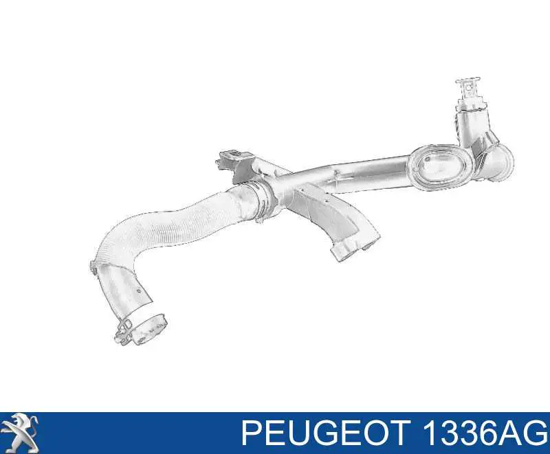 1336AG Peugeot/Citroen Manguera de refrigeración