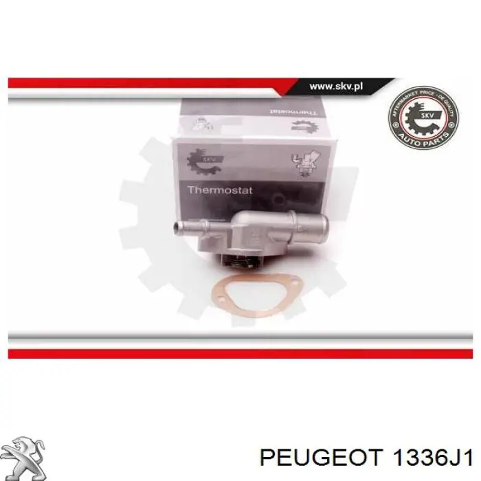 1336J1 Peugeot/Citroen termostato
