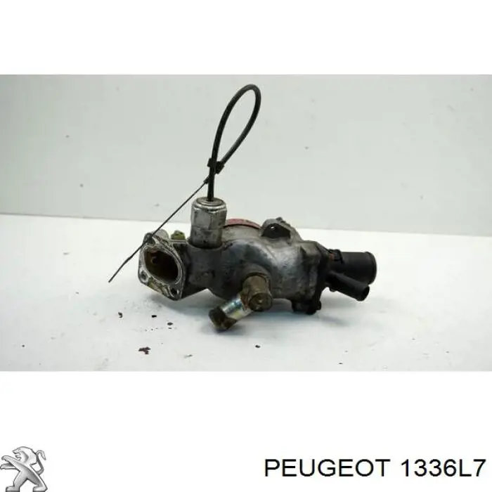 1336L7 Peugeot/Citroen