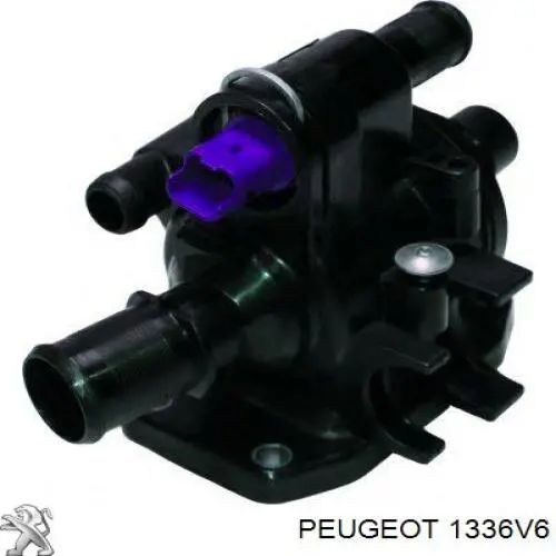 Termostato Peugeot/Citroen 1336V6 precio, desde 24,52 EUR