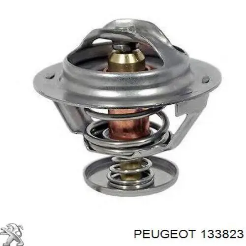 Termostato refrigerante Peugeot/Citroen 133823
