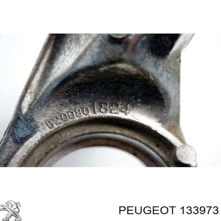 133973 Peugeot/Citroen