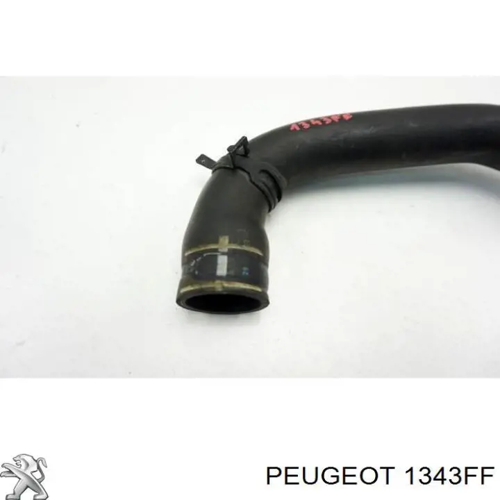 1343FF Peugeot/Citroen tubería de radiador arriba