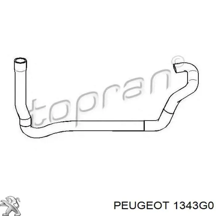 Manguera inferior del radiador 1343G0 Peugeot/Citroen