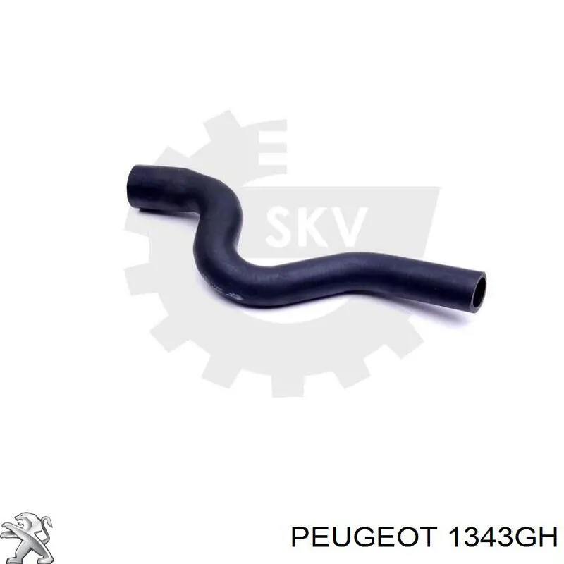 1343GH Peugeot/Citroen tubería de radiador arriba