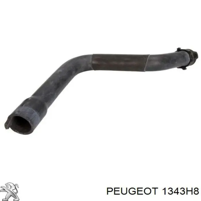 Comprar DWP117TT Thermotec Manguera superior del radiador