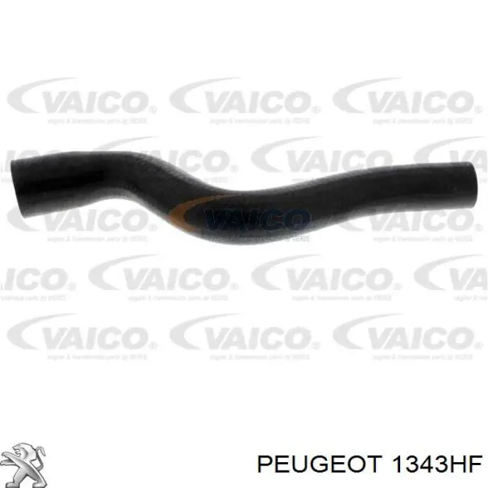 1343HF Peugeot/Citroen tubería de radiador arriba