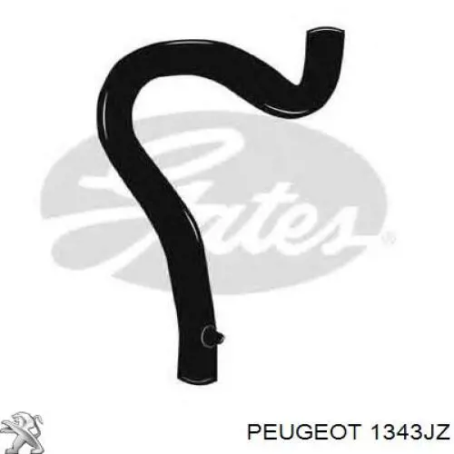 Manguito de líquido refrigerante Peugeot/Citroen 1343JZ precio, desde 2,57 EUR