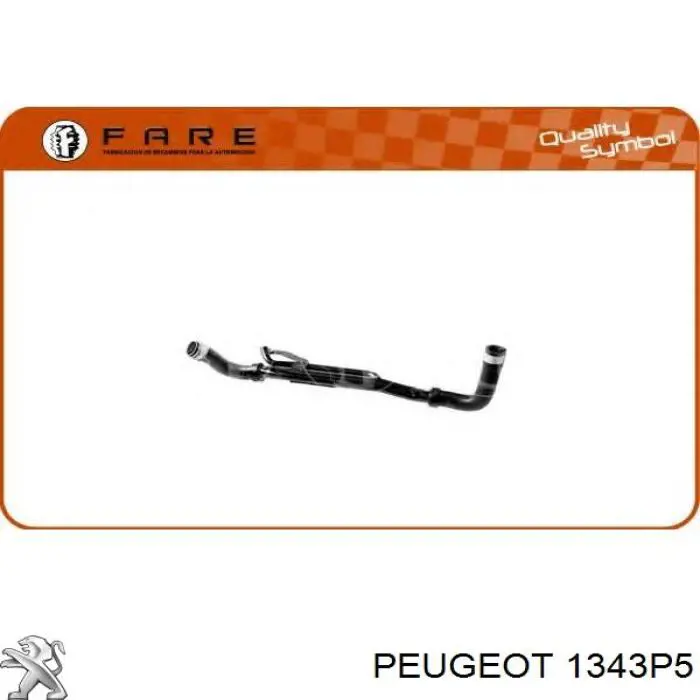 1343P5 Peugeot/Citroen manguera refrigerante para radiador inferiora