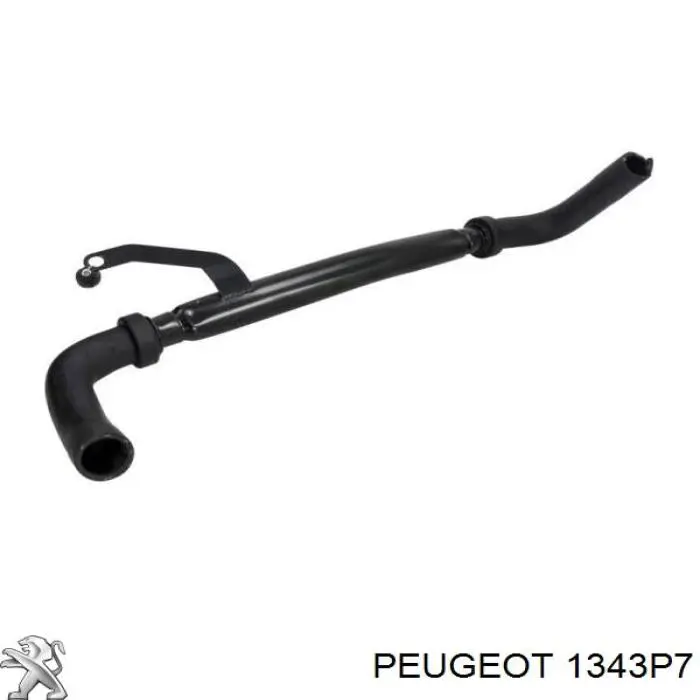 1343P7 Peugeot/Citroen manguera refrigerante para radiador inferiora