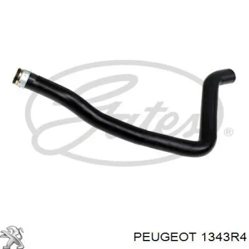 Manguera superior del radiador Peugeot/Citroen 1343R4 precio, desde 20,72 EUR