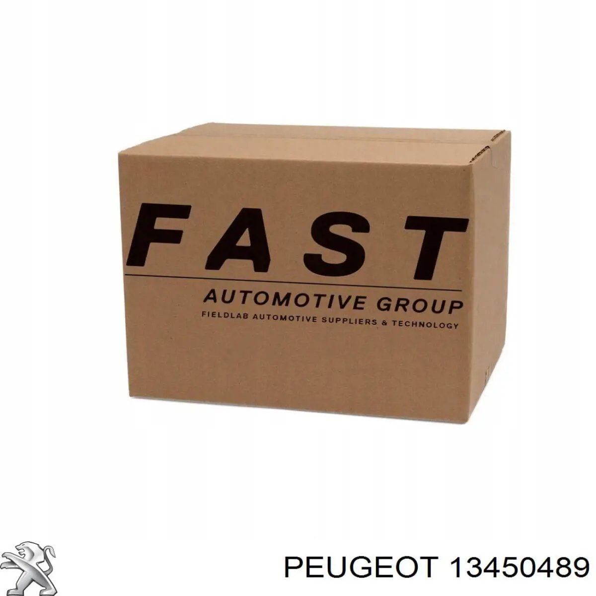 13450489 Peugeot/Citroen cable de freno de mano trasero izquierdo
