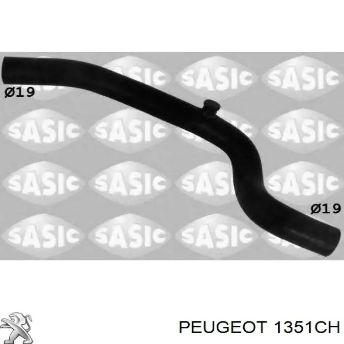 1351CH Peugeot/Citroen manguera refrigerante para radiador inferiora