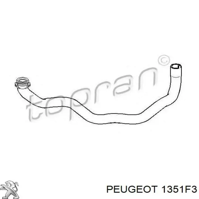 Manguera refrigerante para radiador inferiora Peugeot 405 2 (4B)