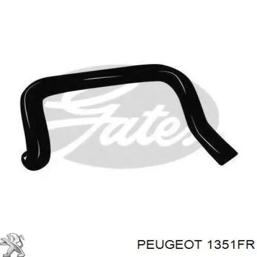 Manguera inferior del radiador Peugeot/Citroen 1351FR precio, desde 15,71 EUR