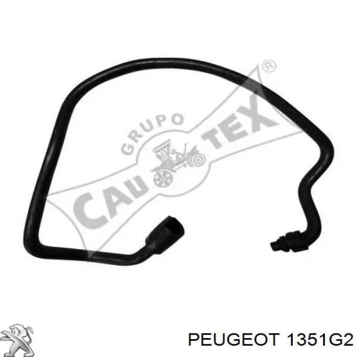 036143 Cautex manguera refrigerante para radiador inferiora