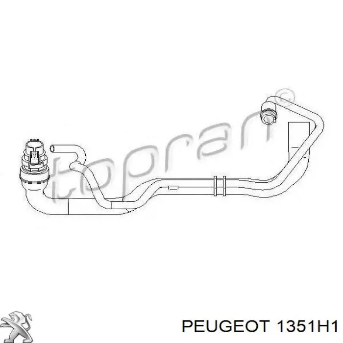 Manguera inferior del radiador Peugeot/Citroen 1351H1