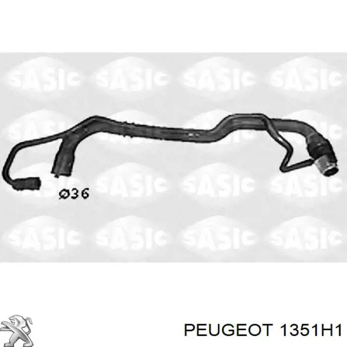 1351H1 Peugeot/Citroen Manguera inferior del radiador