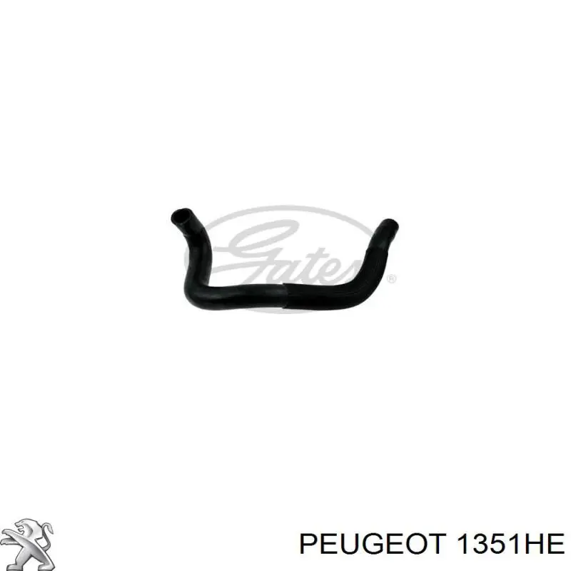 1351HE Peugeot/Citroen manguera refrigerante para radiador inferiora