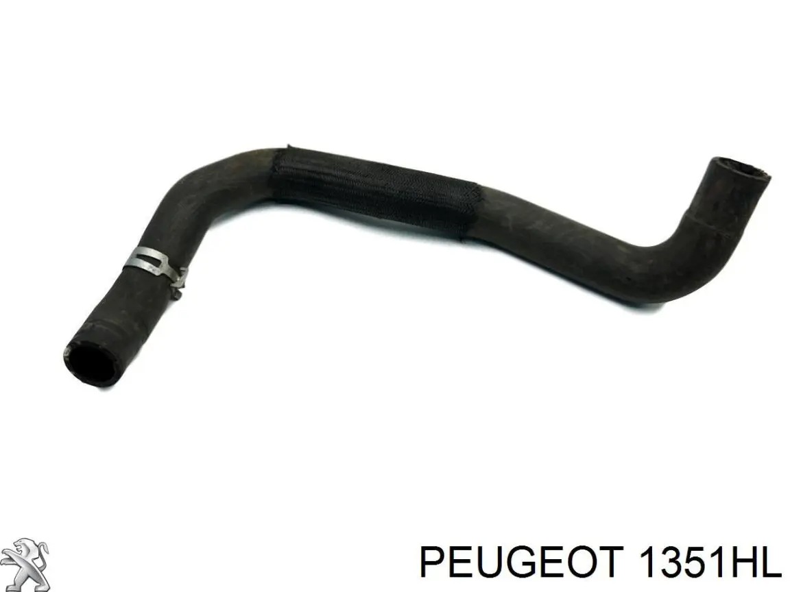 00001351HL Peugeot/Citroen manguera refrigerante para radiador inferiora