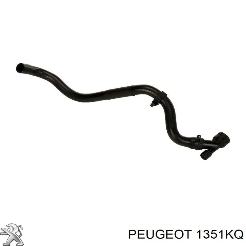 1351KQ Peugeot/Citroen manguera refrigerante para radiador inferiora