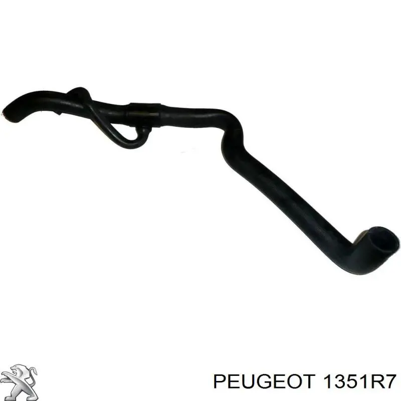 1351R7 Peugeot/Citroen manguera refrigerante para radiador inferiora