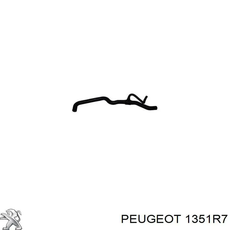 Manguera inferior del radiador 036393 Cautex