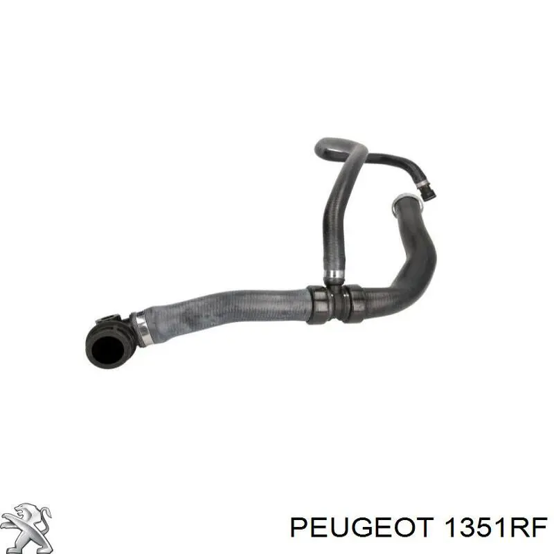 1351RF Peugeot/Citroen manguera refrigerante para radiador inferiora