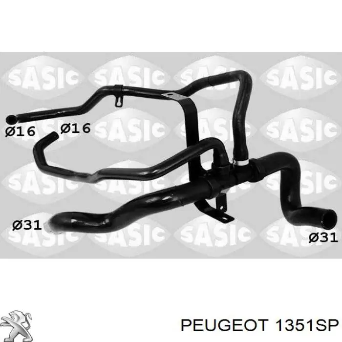 1351SP Peugeot/Citroen manguera refrigerante para radiador inferiora