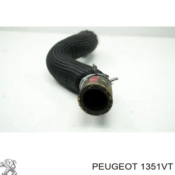 Manguera superior del radiador Peugeot/Citroen 1351VT precio, desde 10,49 EUR