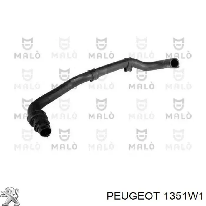 1351W1 Peugeot/Citroen manguera refrigerante para radiador inferiora