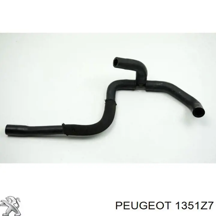 1351Z7 Peugeot/Citroen manguera refrigerante para radiador inferiora