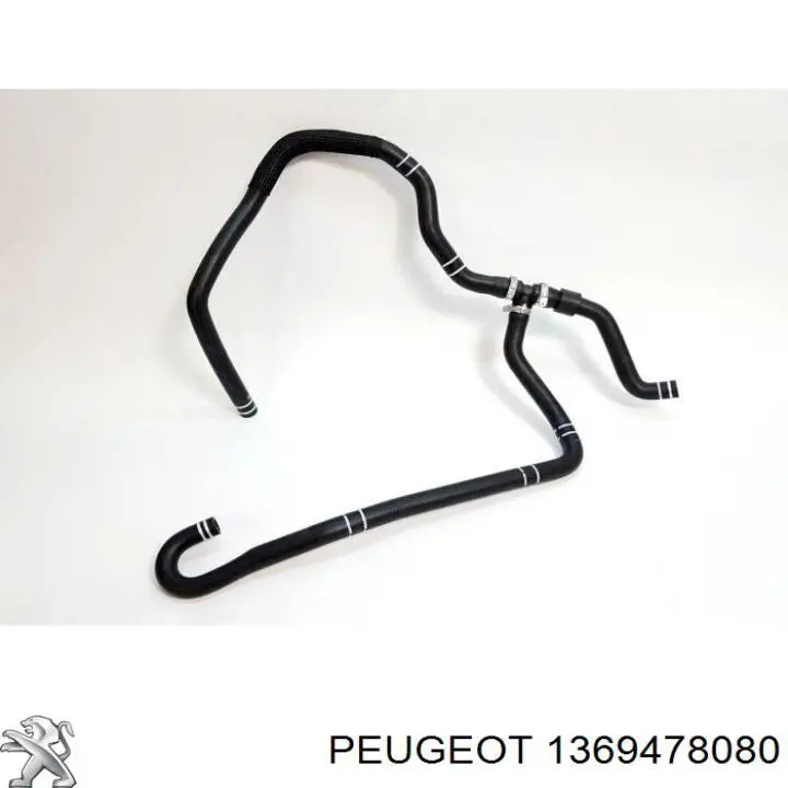 Manguera inferior del vaso de expansión Fiat/Alfa/Lancia 1369478080 precio, desde 63,22 EUR