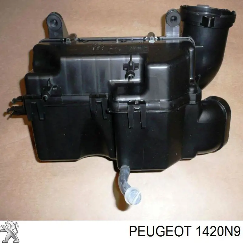 1420N9 Peugeot/Citroen caja del filtro de aire