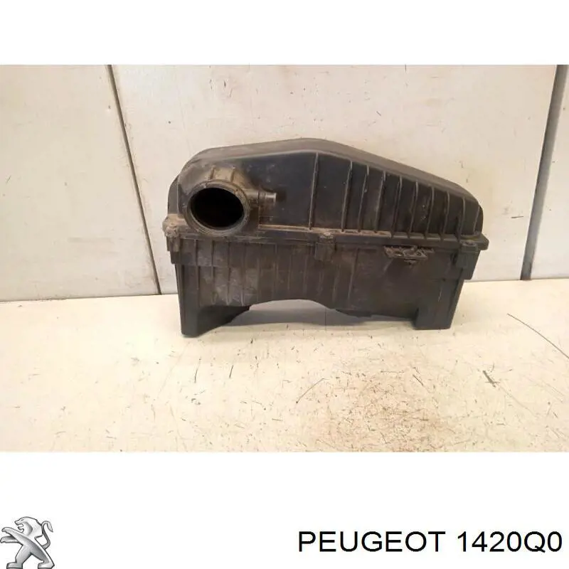 1420Q0 Peugeot/Citroen caja del filtro de aire