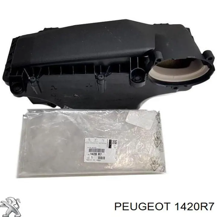 Caja del filtro de aire para Peugeot 307 (3A, 3C)