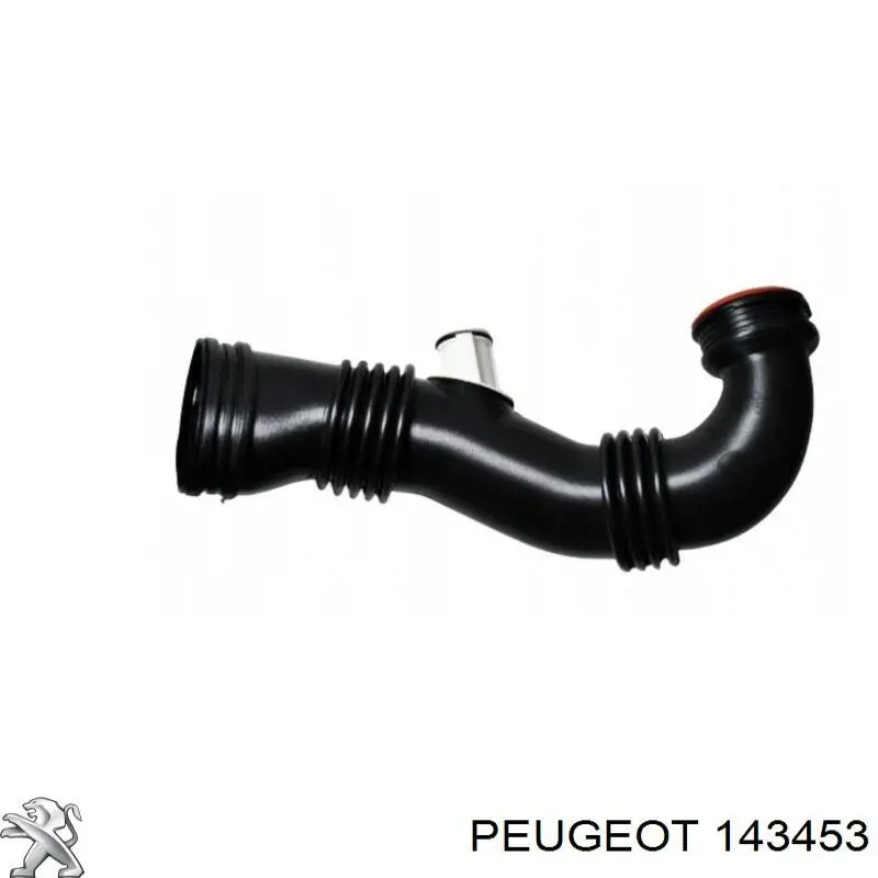 Tubo flexible de aspiración, salida del filtro de aire para Peugeot 407 (6E)