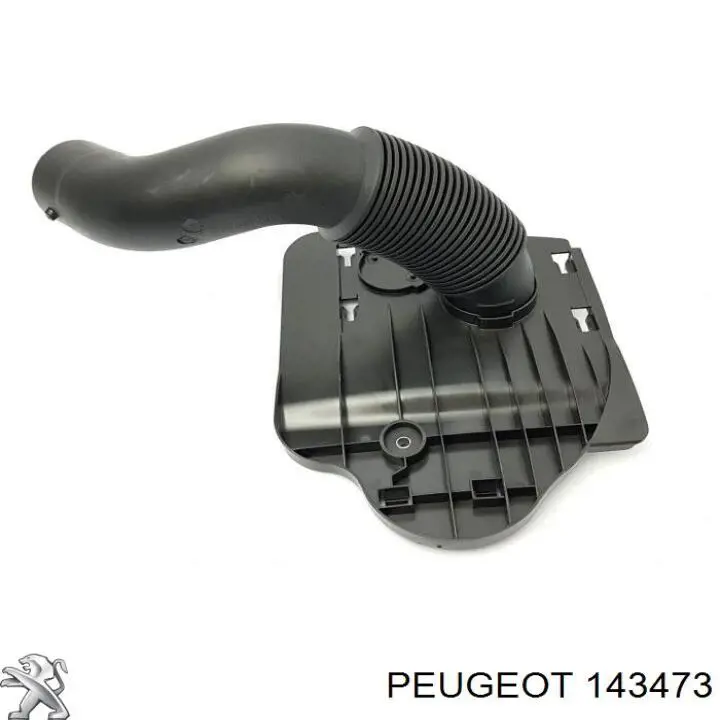 Entrada del filtro de aire para Peugeot 307  3A, 3C