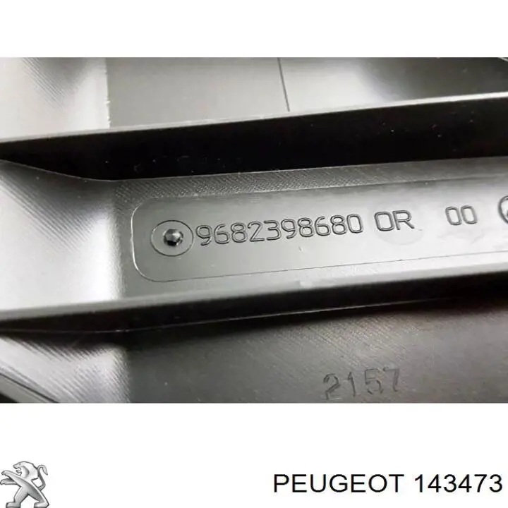 Comprar Entrada del filtro de aire Peugeot 307  3A, 3C