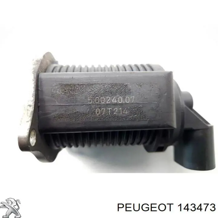 Entrada del filtro de aire Peugeot 307 hatchback (3A, 3C) (2000 - 2012) precio, desde 63,52 EUR
