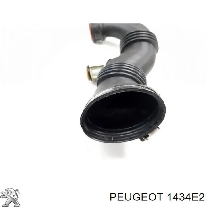 Comprar 1434E2 Peugeot/Citroen Conducto de aire, salida del filtro de aire