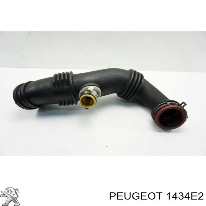 Conducto de aire, salida del filtro de aire Peugeot/Citroen 1434E2 precio, desde 26,34 EUR