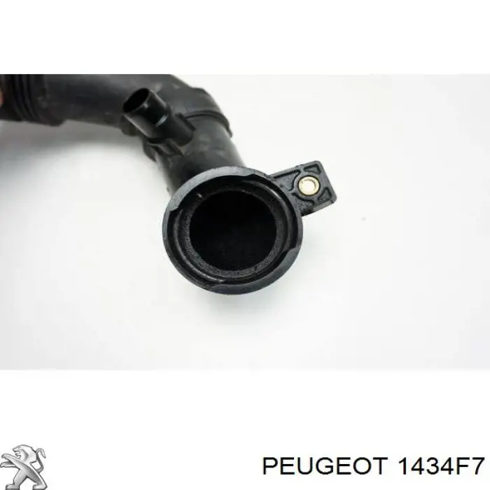 Tubo de admisión de aire al turbocompresor Peugeot/Citroen 1434F7 precio, desde 49,55 EUR