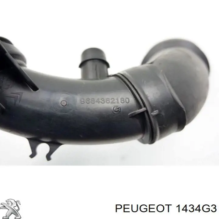 Tubo de admisión de aire al turbocompresor Peugeot/Citroen 1434G3 precio, desde 39,20 EUR