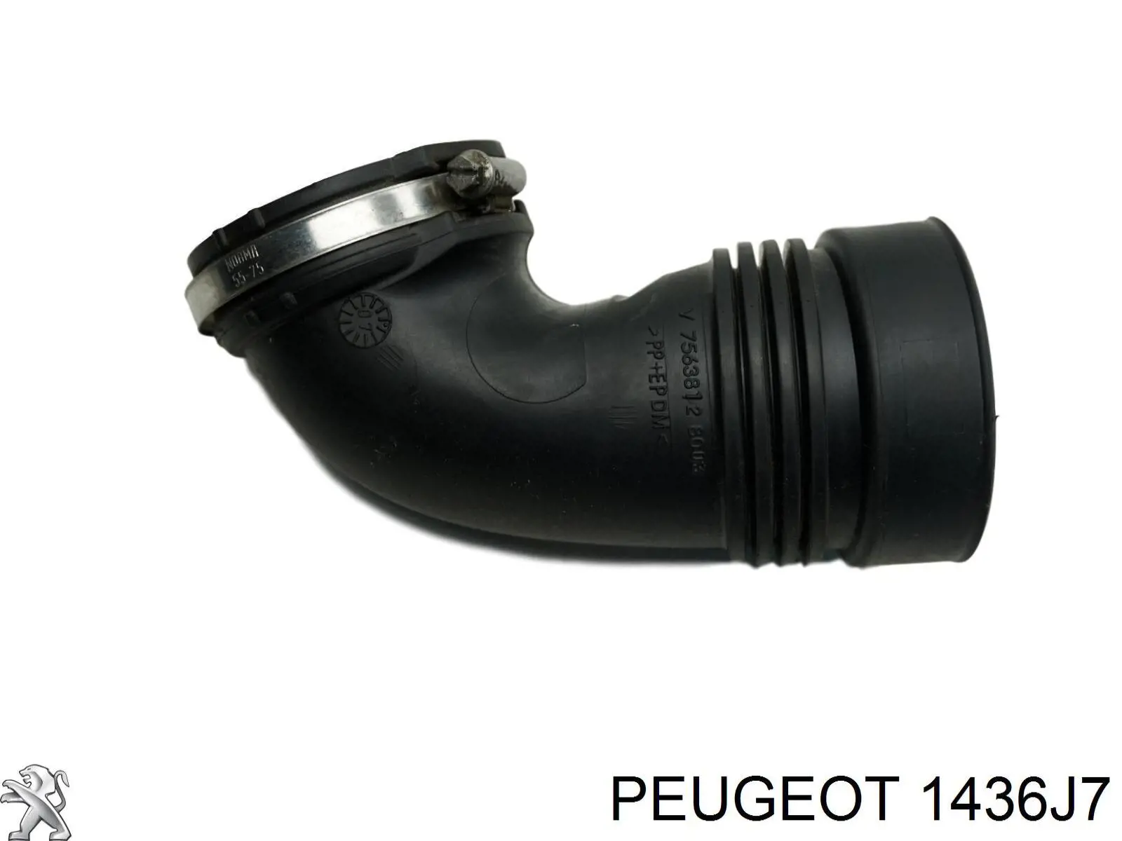 Conducto de aire, salida del filtro de aire Peugeot/Citroen 1436J7 precio, desde 19,01 EUR