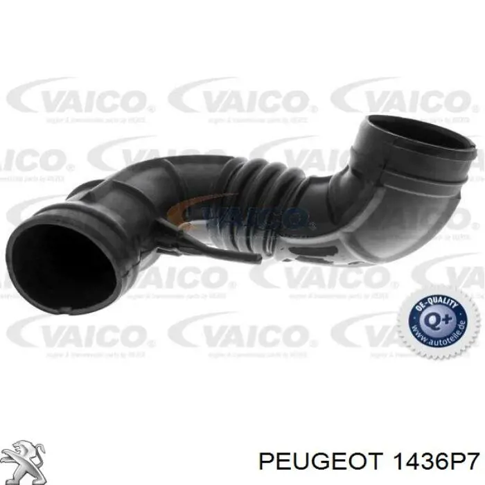 1436P7 Peugeot/Citroen tubo flexible de aspiración, entrada del filtro de aire