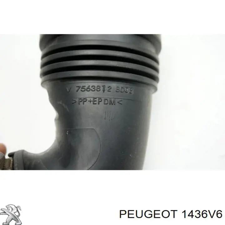  Peugeot/Citroen 1436V6 precio, desde 72,02 EUR