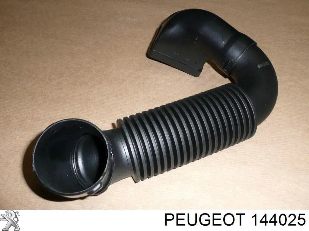 Tubo de admisión de aire, entrada del filtro de aire Peugeot/Citroen 144025 precio, desde 74,10 EUR