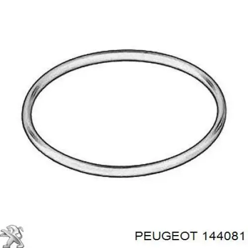 144081 Peugeot/Citroen aniloo, boquilla de turbina