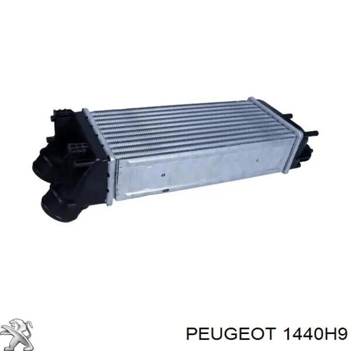 Comprar 1440H9 Peugeot/Citroen Turbo intercooler